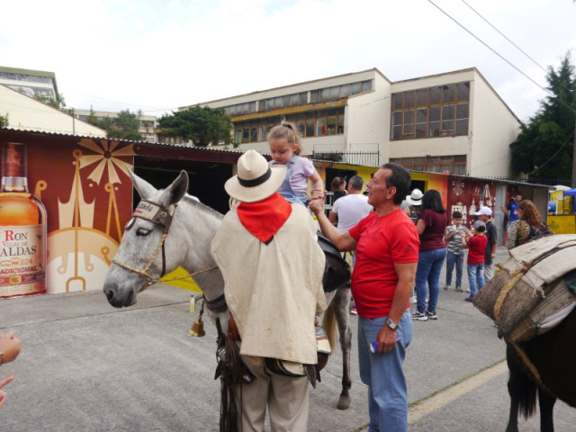 Los niños montan en mulas y se divierten de lo lindo