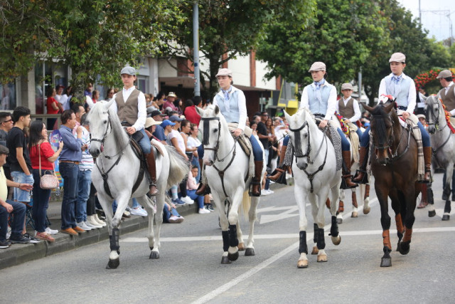 Seis caballos portugueses encabezaron el desfile de las Carretas del Rocío.