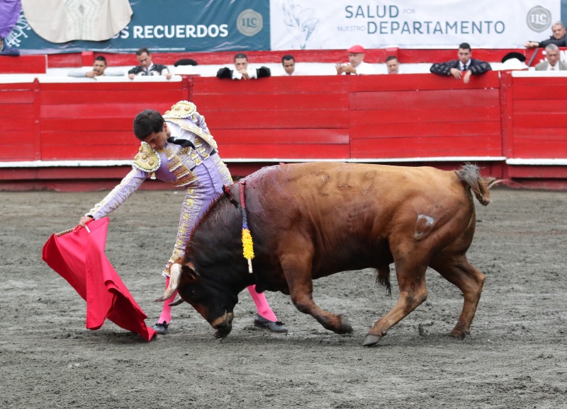 Manuel Libardo en la faena al toro Greñudo, en el inicio de la 70 Temporada Taurina de Manizales.