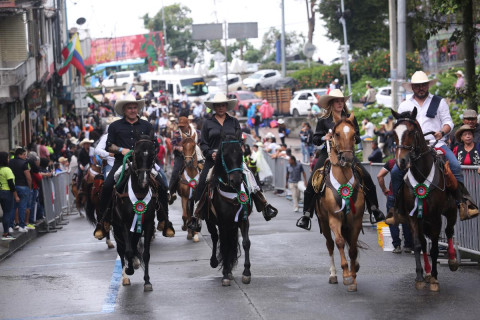 Manizales, al ritmo del trote: crónica de los 1.545 caballos que tomaron las riendas de la Feria, hubo jinetes retirados por beber licor