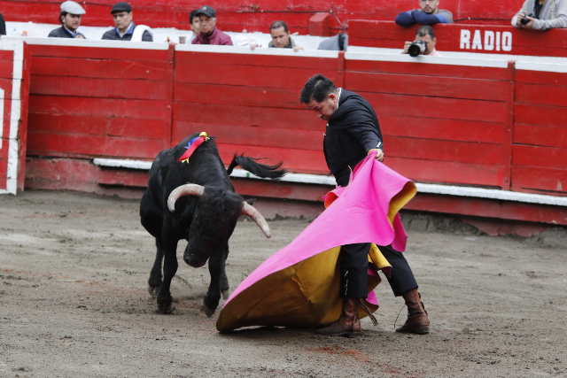 Lance con el capote de Jairo A. Rozo al novillo Oscurillo de 256 kilogramos. 