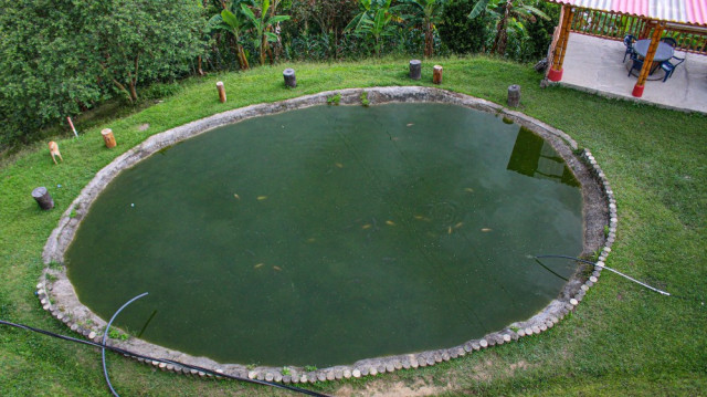 En el lago de pesca hay aproximadamente 150 ejemplares.