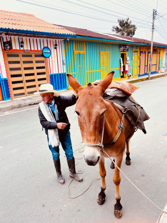 Sobre las vías es común ver a los habitantes en compañía de sus mulas o caballos.