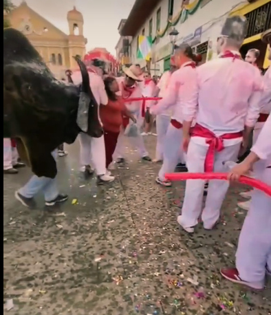 Embestida por la fiesta Fotos| LA PATRIA