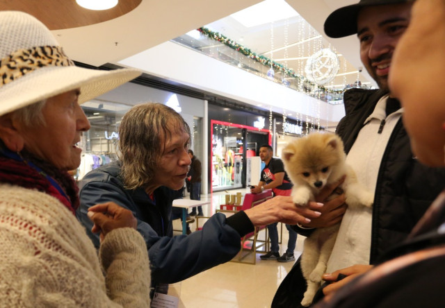 Fueron muchos los atractivos que encontraron a su paso en el centro comercial