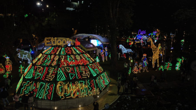  Encedido alumbrado navideño 