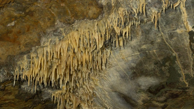 Cueva de Los Guácharos: Un viaje subterráneo al corazón de la naturaleza en Huila