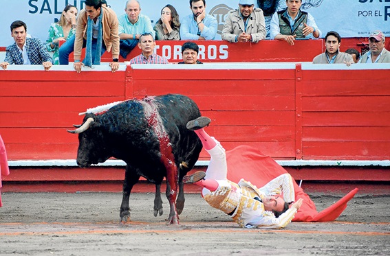 Ponce salió en hombros y también por los aires Fotos | Freddy Arango | LA PATRIA