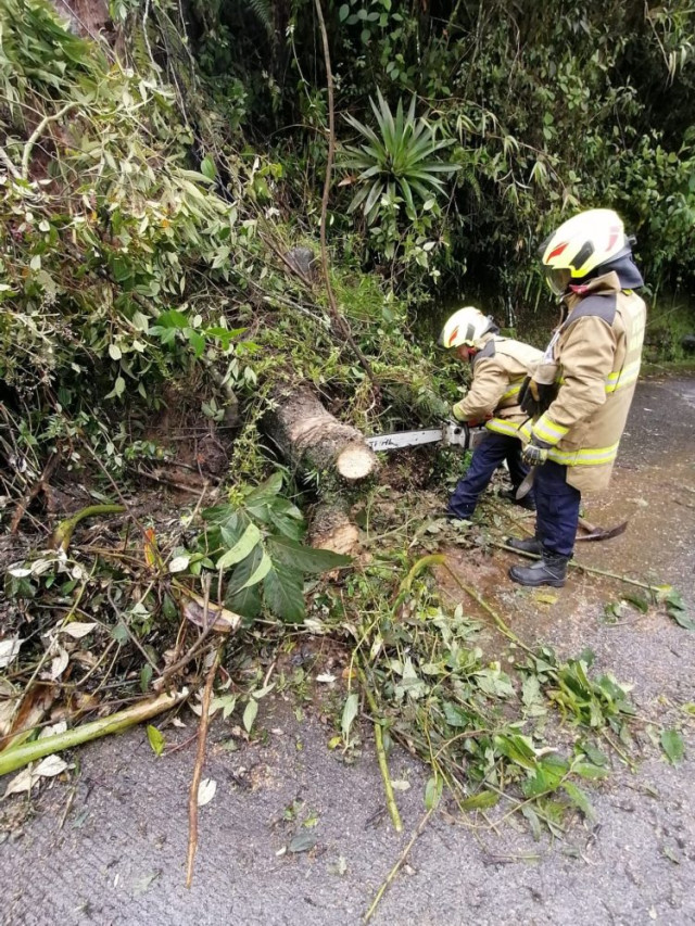 Ha sido necesaria la atención del Cuerpo Oficial de Bomberos de Manizales para retirar de las vías el material vegetal que ha caído a raíz de los recientes aguaceros en la ciudad.