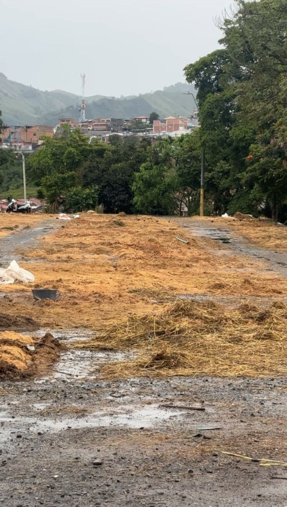 Así lucía los alrededores del estadio ayer (13 de febrero).