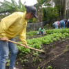 Asociación de mujeres Pétalo Verde