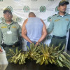  El hombre fue capturado en flagrancia en la vía Manizales-Murillo con los frailejones en amarrados en el techo del carro. 