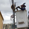 El proceso de rescate del oso perezoso de dos dedos este miércoles en Manizales. 