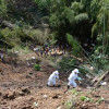 Fotos| Fredy Arango| LA PATRIA Las labores de rescate se centran en la quebrada.