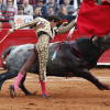 El torero peruano Andrés Roca Rey lidia al toro 'Gamucita' de 496 kg, este lunes en la Plaza de Toros México.