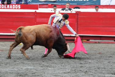 Derechazo de Manuel Libardo al toro Greñudo de 480 kg de la ganadería de Mondoñedo.