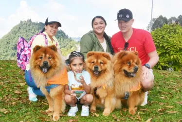 La familia Moreno sacó a sus tres perritos: Dasky (la mamá), Hachi (el papá), Max (el hijo). Los tres son de raza chow chow.