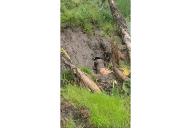 Daño en la bocatoma San Juan, hasta donde tuvieron que llegar a lomo de mulas con las tuberías para repararlo.