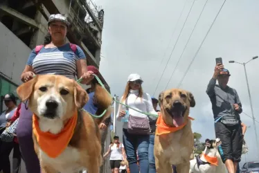 En Manizales marcharon en defensa de los animales