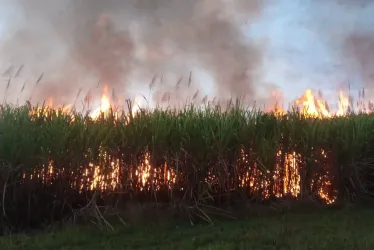 Este es uno de los dos incendios que se presentaron ayer en Viterbo. 