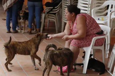 Ana Cristina Martínez juega con sus perros. 