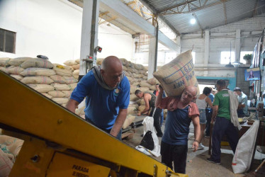 La producción de café cayó en un 24,8% frente al 2021. 