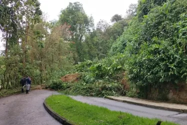 Deslizamiento en vía del barrio La Francia de Manizales