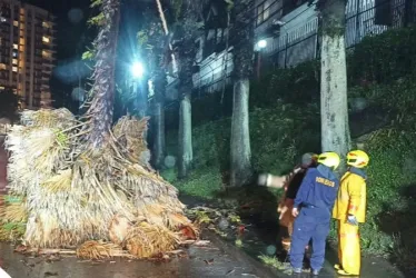 Palma se desplomó en San Marcel 