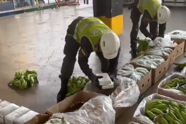 Incautan media tonelada de cocaína en dos puertos del Caribe 