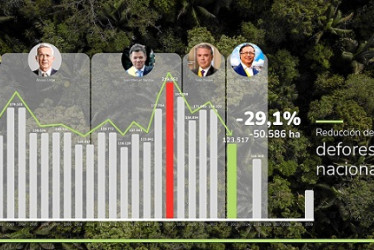 Fenómeno de El Niño, otra causa de la deforestación