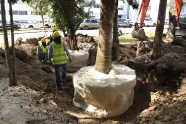 Fotos | Luis Trejos | LA PATRIA Así lucen las obras de la Línea Tres del Cable Aéreo en el Parque La Gotera.