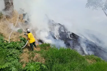 La zona donde se produjo el incendio forestal este jueves en Villamaría. 