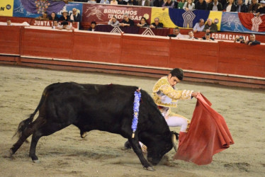 Simón Hoyos, novillero manizaleño, en un forzado de pecho con rodilla a tierra en la novillada sin picadores de la XXIV Temporada de Toros y Ciudad que se desarrolla durante este fin de semana en la Plaza de Toros de Manizales.