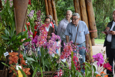 Exposición de Orquideas de Manizales