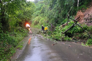 En el municipio de San José (Caldas) deslizamientos ocasionaron cierre de vías. 