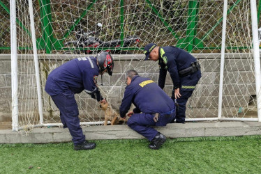 Bomberos y Policía ayudaron al perrito que estaba enredado en la malla de una portería. 