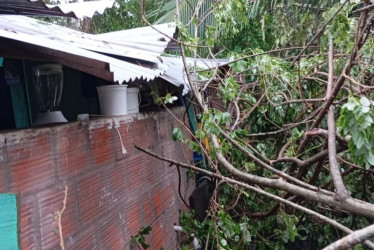 Así quedó una de las ocho casas en La Dorada luego de que un vendaval provocó la caída de un árbol.