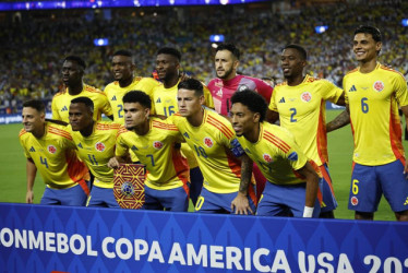 Esta es la nómina inicialista de Colombia que disputó la final de la Copa América contra Argentina.