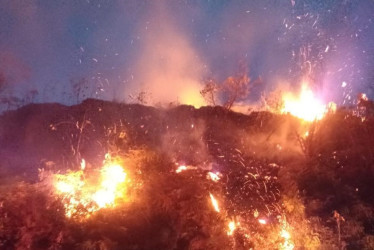 El Cuerpo de Bomberos de Samaná atendió dos incendios forestales entre jueves y domingo.