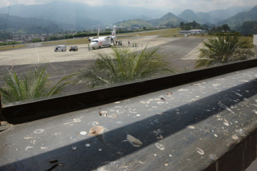 Pista con señalización borrosa para el aterrizaje, falta de poda en zonas verdes y ventanales con heces de palomas evidencian el descuido en el que están algunas zonas del Aeropuerto la Nubia de Manizales. Inficaldas asegura que atiende oportunamente estos espacios. Vea las fotos.