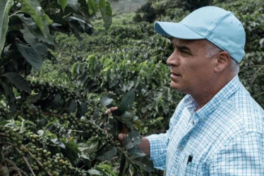 Carlos Felipe Hoyos Zuluaga, productor y delegado al Comité de Cafeteros de Caldas.