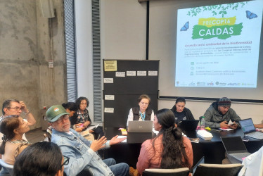 Alrededor de 100 ONG ambientales de Colombia y otros países se reunieron durante esta semana en Manizales. Este viernes, el turno fue para los líderes en Caldas, que dieron sus ideas para construir el Plan de Biodiversidad del departamento para la próxima década.