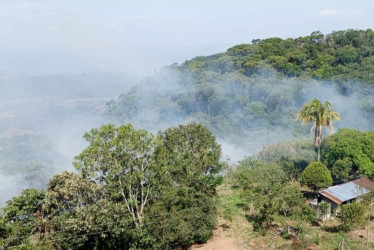 Entre la comunidad, voluntarios y bomberos sofocaron las llamas del incendio forestal.