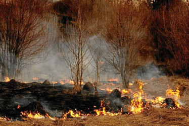 Foto | Freepik | LA PATRIA | Imagen de referencia tomada de Freepik  La provincia de Loja ha sido la más afectada por incendios forestales en la última década, con más de 45.000 hectáreas de vegetación consumidas. Según información oficial ayer había en Ecuador 25 incendios forestales activos.