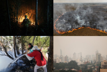 Suramérica pasa por una de las peores épocas de sequía en los últimos meses, lo que ha generado las condiciones propicias para la generación y propagación de múltiples incendios en la región. 