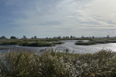 El lago Neusiedl tiene 320 km cuadrados entre Austria y Hungría, de los cuales 180 km cuadrados poseen el mayor cinturón de humedales de Europa. Se instalaron dispositivos acústicos de inteligencia artificial para monitorear cambios en los juncos y la vida silvestre y proteger su biodiversidad.