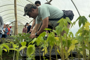 Iván Castrillón hace un recorrido con turistas que visitan 'La Huerta Hotel', en zona rural de Calima (Valle del Cauca).