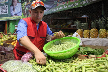 Las manos que reciben los productos, las que los cargan en bultos, las que los limpian y organizan, las que los venden y los compran, son las protagonistas de una danza diaria en la Galería de Manizales que provee a los hogares y a los negocios de la comida necesaria para que la ciudad viva.