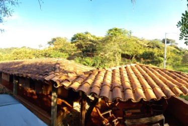 Casa Chocolate promociona tours por las plantaciones de la finca La Manuela de Anserma.