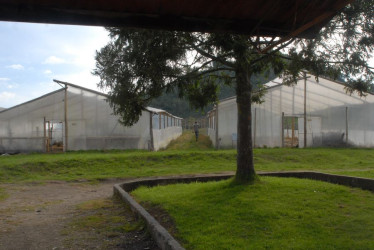 La Granja Tesorito de la Universidad de Caldas funciona en el Parque Industrial Juanchito, y su otra sede, Montelindo, funciona en la vereda Santágueda, en Palestina.